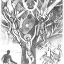 Шри Нитьянанда и Адвайта-ачарья — два ствола дерева Шри Чайтаньи Махапрабху